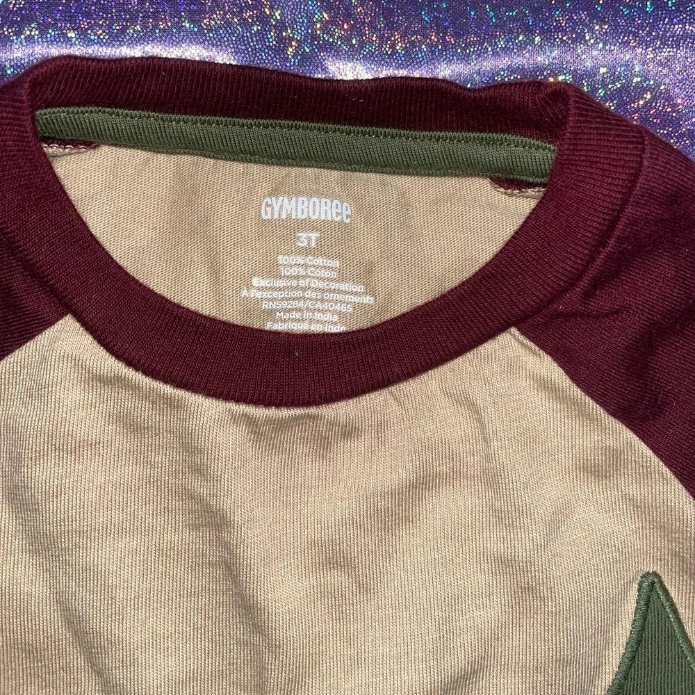 Boys Gymboree Critters shirt